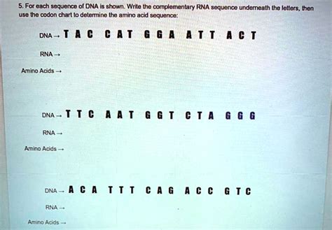 SOLVED: PLS HELP......DNA, RNA, codon chart 5. For each sequence of DNA ...