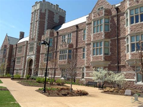 Washington University In St Louis Magellan College Counseling