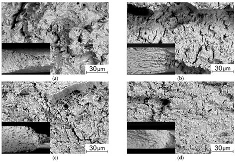 Sem Micrographs Of The Sample Fracture Surfaces As Received A And