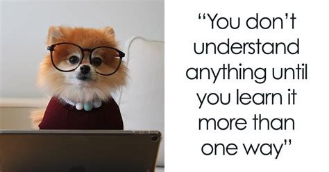 188 Education Quotes That Might Inspire You To Learn Something New