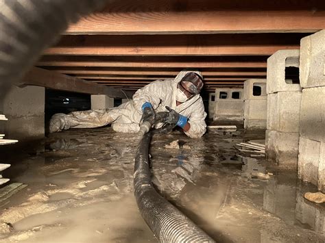 The Ultimate Guide To Crawl Space Cleaning What You Need To Know