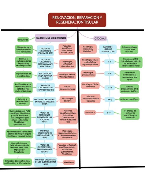 Curva De Crecimiento Bacteriano Esquemas Y Mapas Conceptuales De Porn