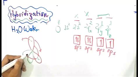 Class 11 Chapter 6 Water Hybridization Model Youtube