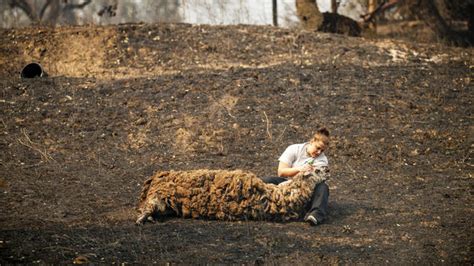 Thousands Of People Forced To Flee Raging California Wildfires Lbc