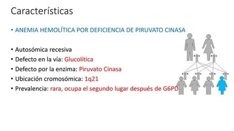 Anemia hemolítica por deficiencia de piruvato cinasa PPT Descarga