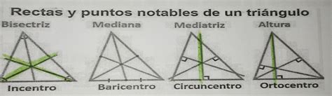 Resuelto Rectas y puntos notables de un triángulo Bisectriz Mediana