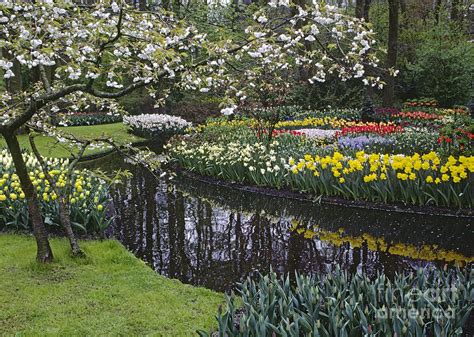 Kukenhoff Gardens Holland Photograph by Craig Lovell - Fine Art America