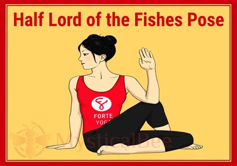 Half Lord Of The Fishes Pose Ardha Matsyendrasana Benefits Steps