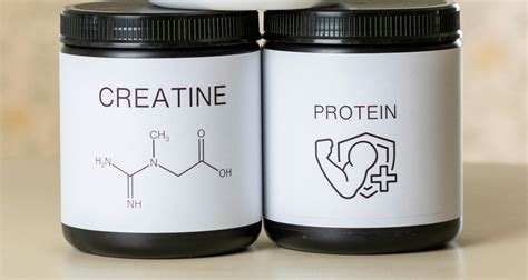 Protein Powder vs Creatine: Discover the Benefits — Edge of Longevity