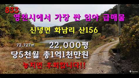 경북 영천시에서 가장 싼 임야 급매물 Youtube