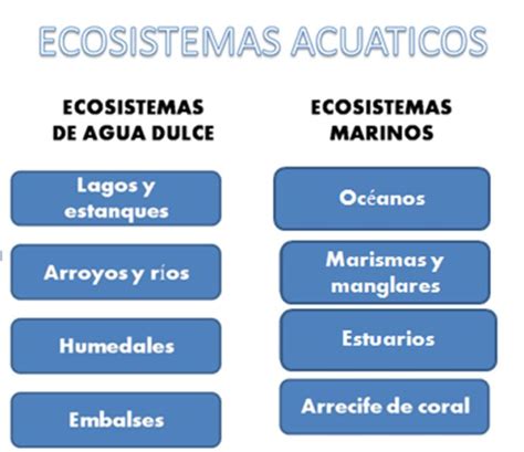 Ecosistemas Terrestres Y Acuáticos Cuadros Comparativos Y Diferencias