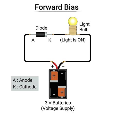 Forward Bias Diode Experiment 26567210 Vector Art at Vecteezy