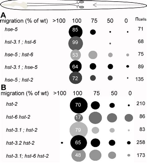 Figure From Combinatorial Roles Of Heparan Sulfate Proteoglycans And