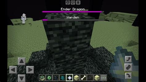 Ender Dragon Vs Wither Vs Warden Minecraft Youtube