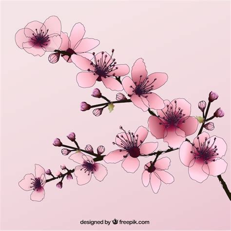 Hand Drawn Cherry Blossoms Stock Images Page Everypixel