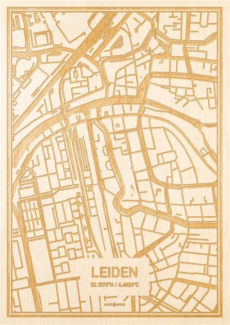 Kaart Leiden Gegraveerde Stadskaart Hood Wood Hout A Bol