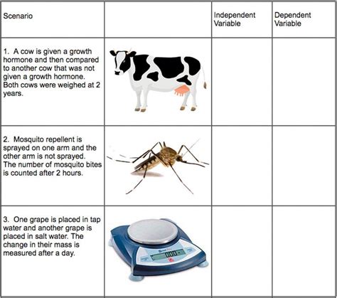 Independent Variable vs Dependent worksheet | Live Worksheets - Worksheets Library