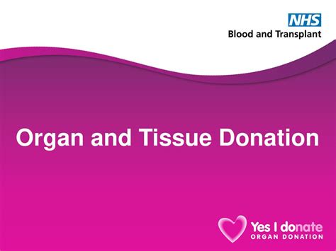 Organ And Tissue Donation Ppt Download