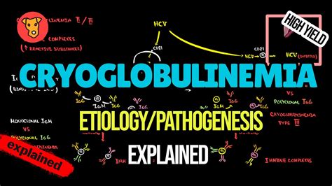 Cryoglobulinemia Etiology Pathogenesis Treatment Explained Youtube