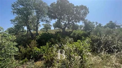 Plots for sale 33218 sq ft Bormes les Mimosas Région du Littoral Varois