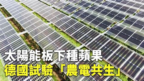 太陽能板下種蘋果 德國試驗「農電共生」 永續發展 科技新聞 Youtube