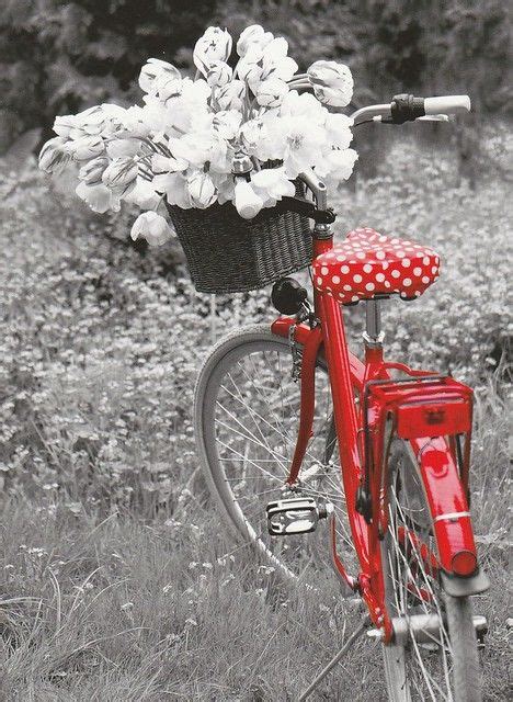 Colorful Bicycles | Artistic Bicycle Photography