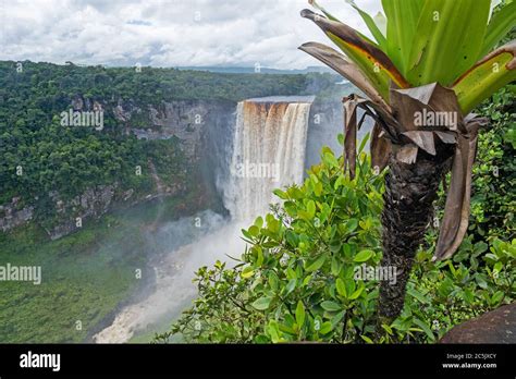 Kaieteur Falls on the Potaro River in the Kaieteur National Park ...