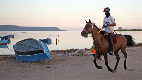 La Sardegna Di Nuovo Protagonista Dell Endurance Mondiale Cavallo