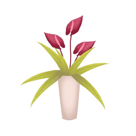 Maceta Png Flores Plantas En Maceta Png S Flores Png Y Psd Para