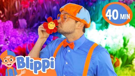 Colors Everywhere Song | BLIPPI | Educational Songs For Kids - YouTube