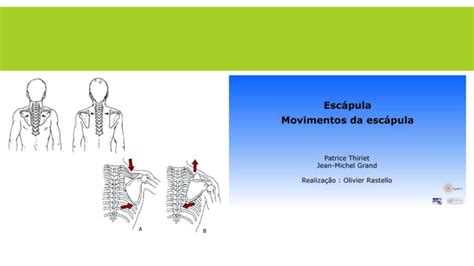 Cinesiologia E Biomecânica Do Ombro Ppt