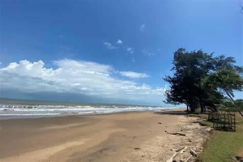 Wisata Pantai Di Kalimantan Selatan Yang Wajib Dikunjungi Pesisir