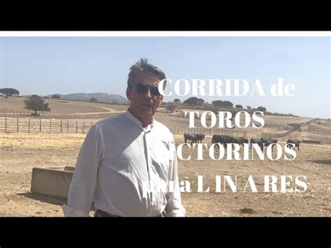 Corrida De Toros Victorinos Para Linares Youtube