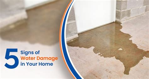 How To Spot Water Damage In The Property You Are Living