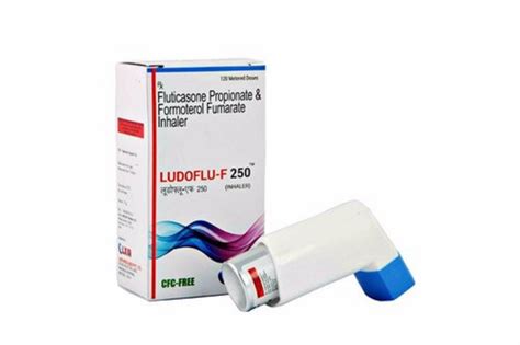 Fluticasone Propionate Ludoflu F 250 120 Mdi In 1 Box Prescription At Rs 795 In Raigarh