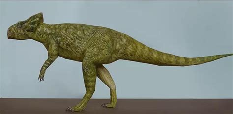 microceratops  real life clannfear roblivion