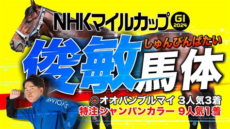 【nhkマイルc 2024】昨年は9人気の勝ち馬をズバリ！得意のマイルg1で推す妙味十分の本命馬はコレだ！馬体診断・フォトパドック【競馬予想