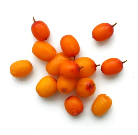 catina congelata eco stiriagricolero