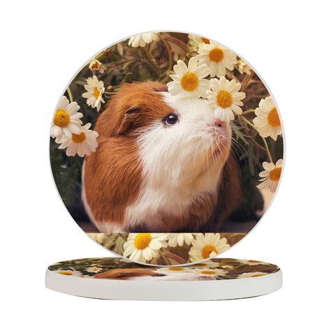 Circular Drink Coasters Set Guinea Pigs Flowers Print Beautiful Home