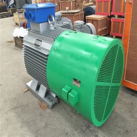 Kundenspezifischer Kw Rpm Permanentmagnetgenerator V Lieferanten