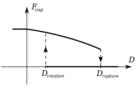 2 Evolution Of The Capillary Force Fcap As A Function Of The Download Scientific Diagram