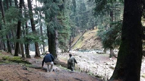 Silent valley of Yusmarg, Kashmir | Offbeat Explorers