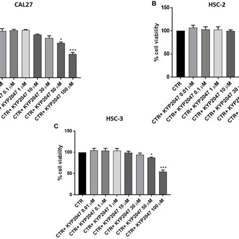 Effect Of Kyp 2047 On P53 Expression In Cal27 Cells Immunofluorescence