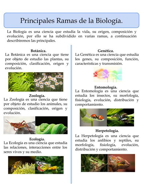 Ramas de la Biología Biología Clase de biología Trabajo de biologia