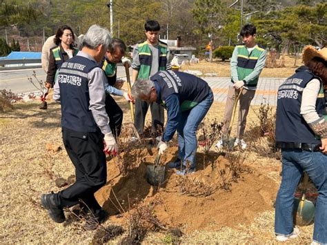 문경교육 제78회 식목일 청렴나무 심기 행사