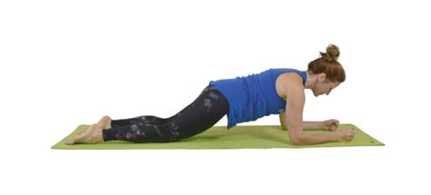 The Poses Purestretch Stretching And Flexibility Training