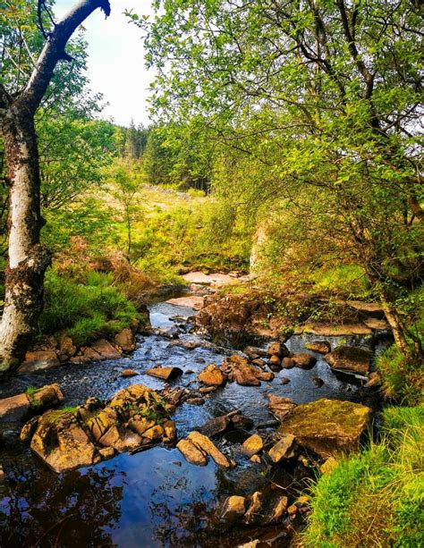 19 Best Things To Do On The Isle Of Arran Scotland