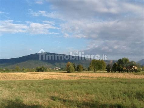 Terreno Edificabile Palazzolo Via Cereto Palazzolo Sull Oglio Rif