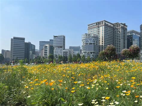 형형색색 꽃물결열린송현녹지광장 나들이 어때요 파이낸셜뉴스