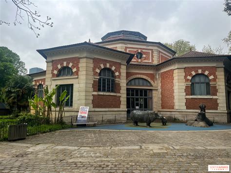 La Ménagerie Du Jardin Des Plantes Le Plus Vieux Zoo De Paris